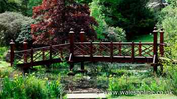 Three-year-old boy in hospital after incident at Bridgend's Bryngarw Country Park