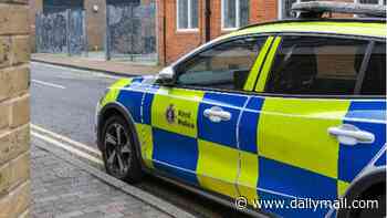 Boy, 4, is seriously injured after being hit by a Range Rover as he crossed the road