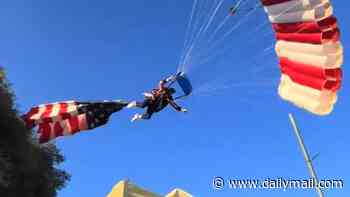 Patriotic skydiver flying huge American flag gets caught in tree and CRASHES into horrified rodeo crowd