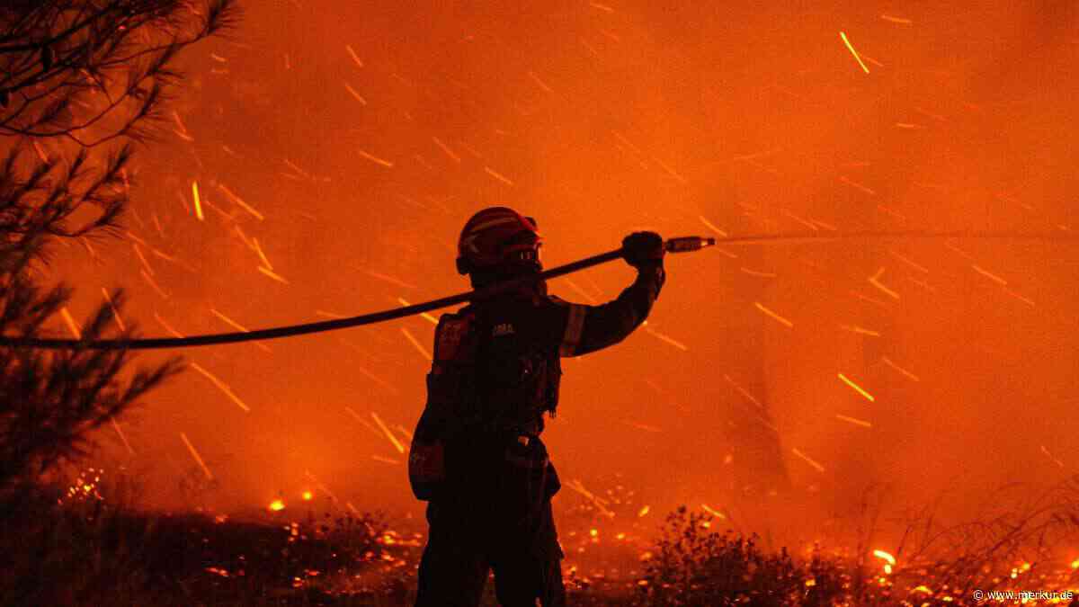 40 neue Brände in 24 Stunden: Waldbrand-Saison dreht in beliebtem Urlaubsland voll auf
