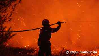 40 neue Brände in 24 Stunden: Waldbrand-Saison dreht in beliebtem Urlaubsland voll auf