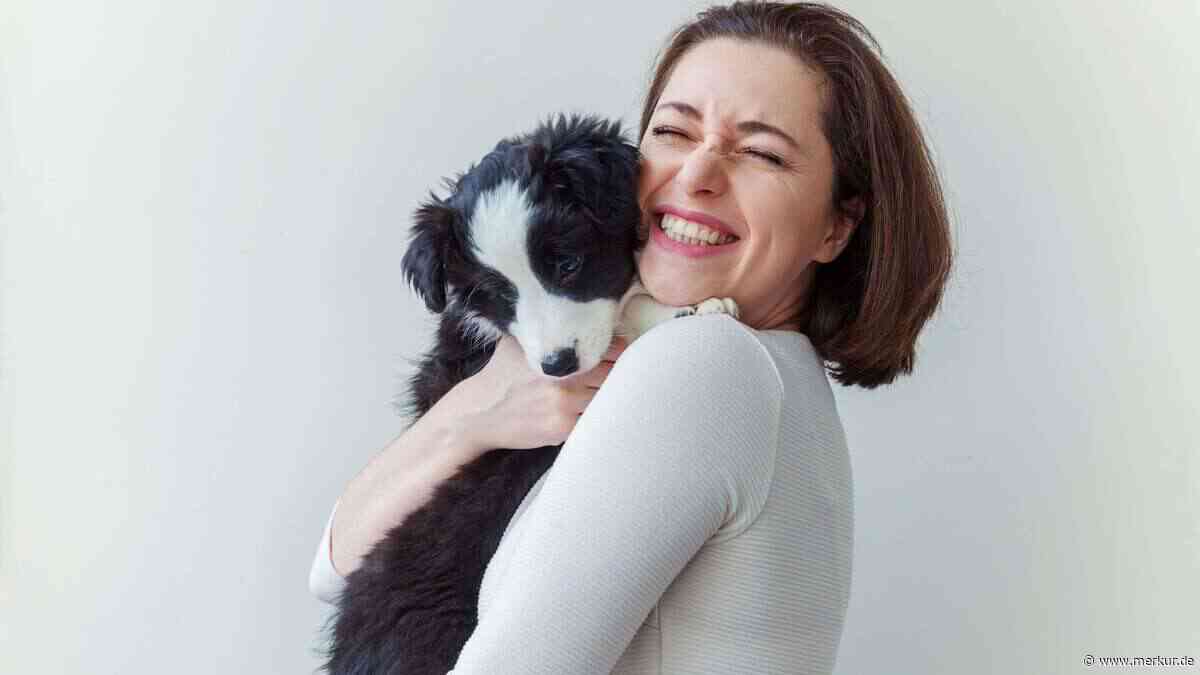 Warum Umarmungen Ihren Hund stressen können – und was er sich stattdessen wünscht