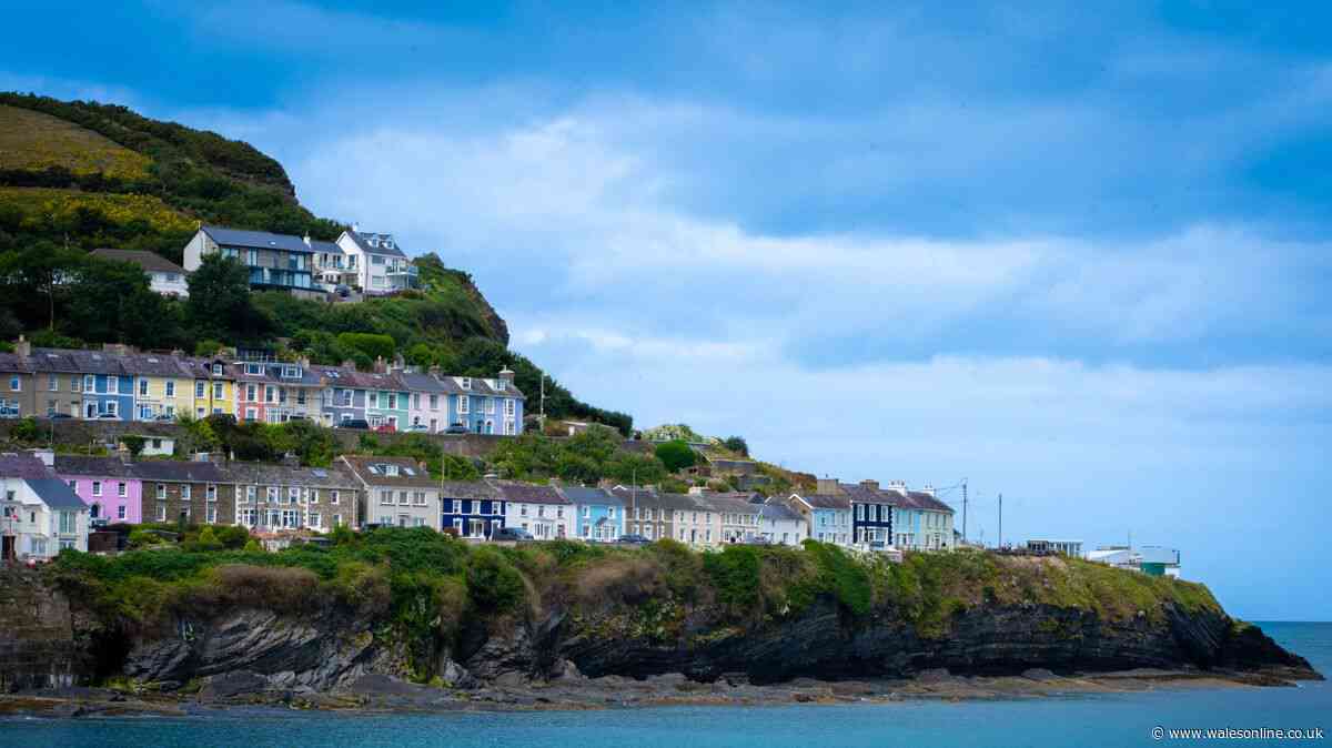 Man in critical condition after attack in New Quay town centre