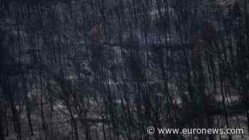 Fast-moving wildfire spreads across southern France