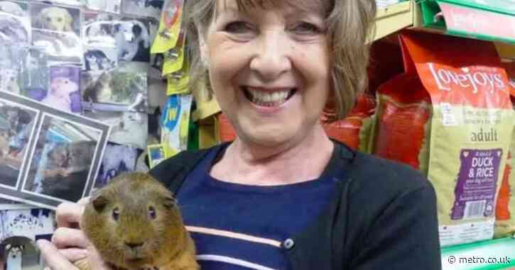 Murder investigation launched after head-on crash kills pet shop owner in her 70s