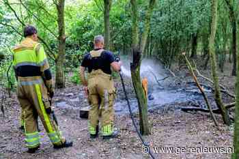 Brandweer blust brandende bosschage