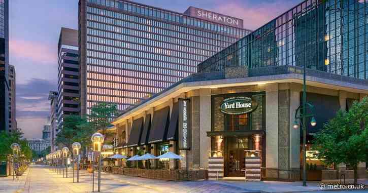 Pilot sues hotel after being bitten by ‘rabies-infected’ bats in bed