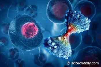 Scientists Warn: Colorectal Cancer Is Rising Fast in Younger Adults, Reversing Decades of Progress