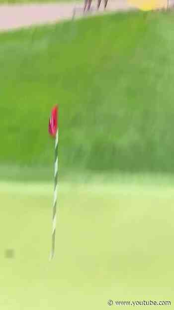 Is this lucky or unlucky?!