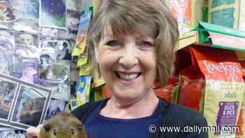 Man, 43, is arrested on suspicion of murder and attempted murder after crash killed elderly pet shop owner and seriously injured a teenage girl