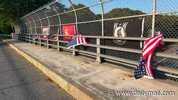 Outrage as American flags honoring Purple Heart recipient torn down by VANDAL day before July 4