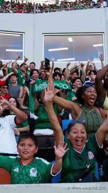 Shell is buzzing for the Mexico live viewing!