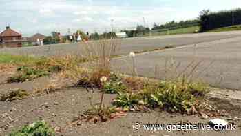 Council to use weedkiller in more frequent cycles and has 'caught right up' with grass cutting