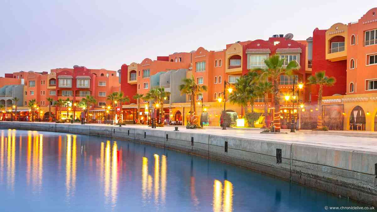 The African city five hours from Newcastle where you can snorkel and scuba dive