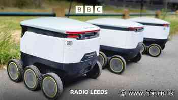 Delivery Robots - Polite and cute or in the way?