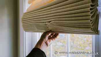 Keep your home cool with a simple 2-minute morning task – no air con needed