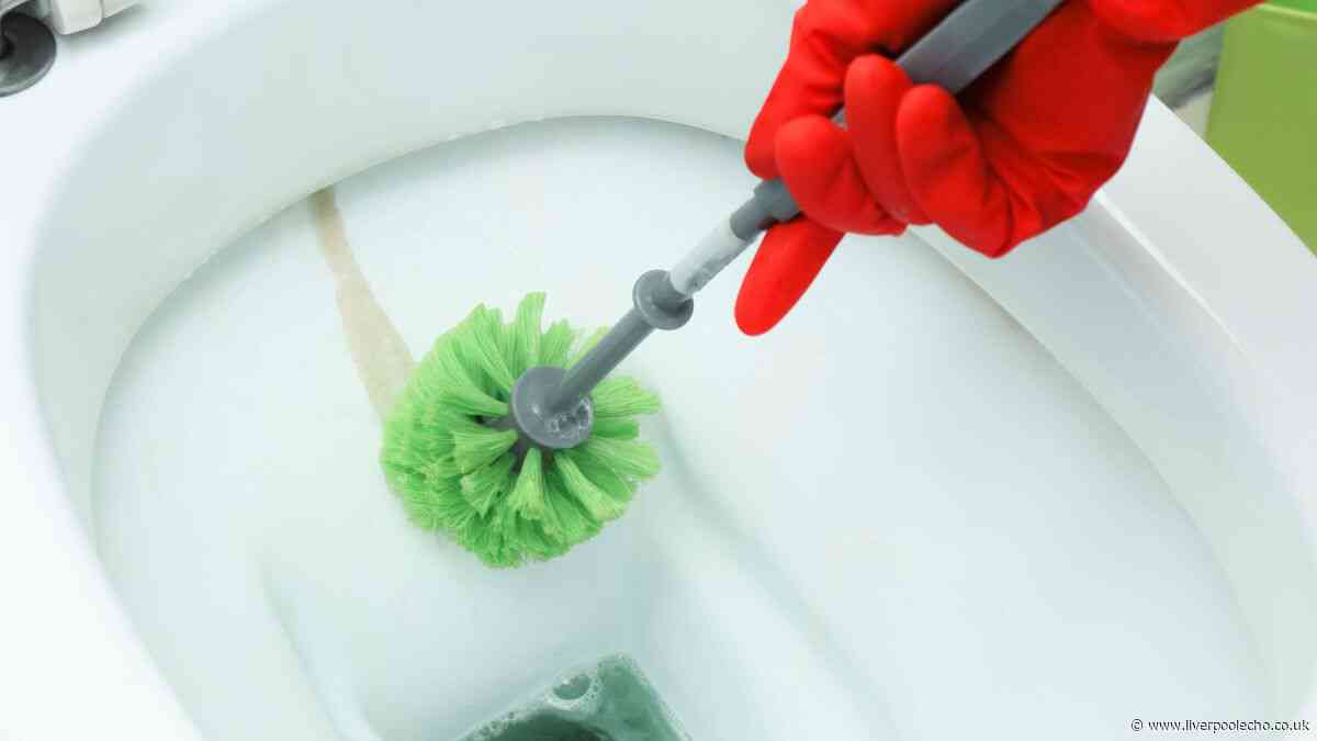 Toilets will be clean and free of limescale in 15 minutes with 1 natural item