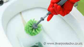 Toilets will be clean and free of limescale in 15 minutes with 1 natural item