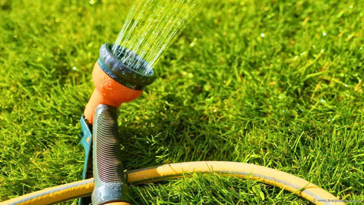 Lawns will turn out thicker and greener if one bathroom item is scattered on the grass