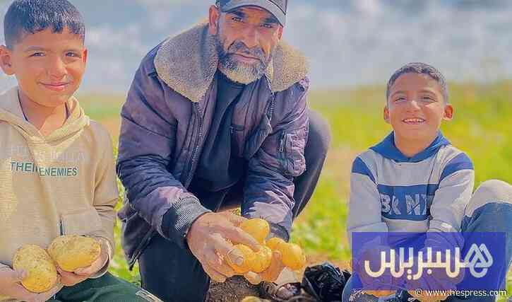 "المقاومة الخضراء" تعيد دبيب الحياة إلى الأ&#