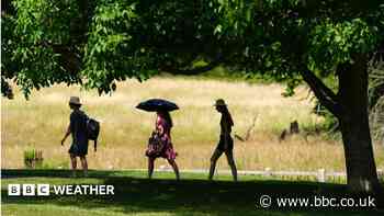 New heatwave likely to peak at 34C with week-long health alert issued