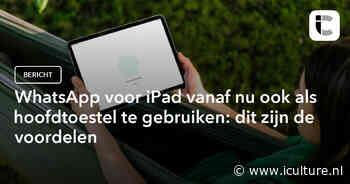 WhatsApp voor iPad vanaf nu ook als hoofdtoestel te gebruiken: dit zijn de voordelen