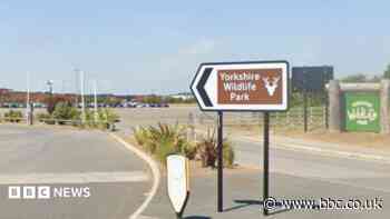 Wildlife park plans new 'large herbivore habitat'