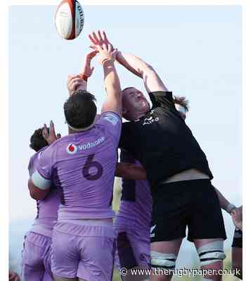 Scotland push New Zealand all the way