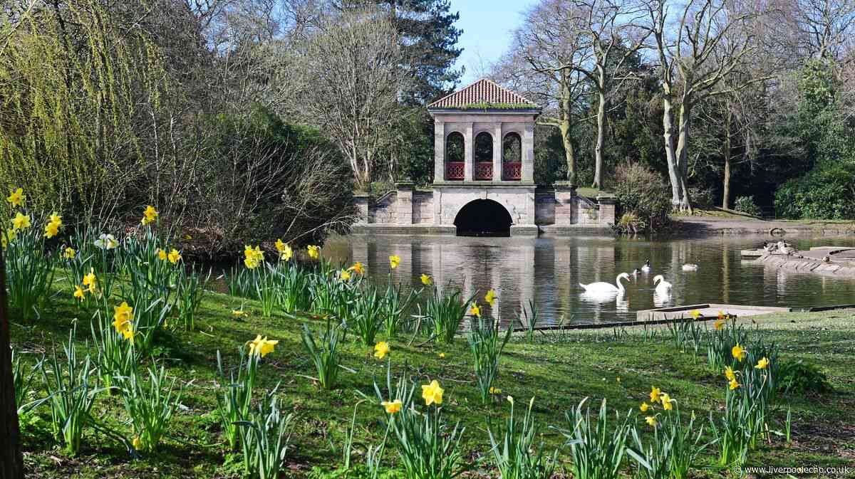 'I'd been to Central Park but not here!' How Merseyside park could get the fame is deserves