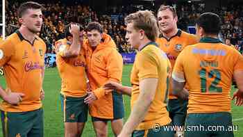 Wasteful Wallabies need to be hard on themselves after loss to Ireland