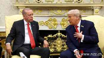 Der einstige Störenfried ist nun Gastgeber: Mit dem Nato-Gipfel in Ankara demonstriert die Türkei ihre neue Machtposition