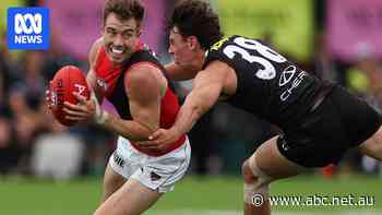 Live: Dons look to end nightmare streak against Saints as Port hosts Roos