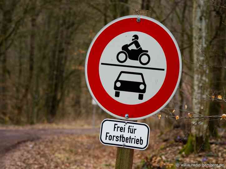 Bienenstich auf Alm, Unfall auf Weg ins Tal – Mann verletzt