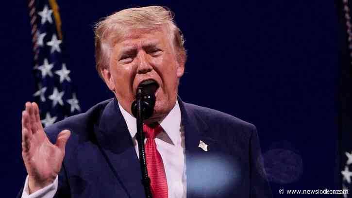 Trump bij 250 jaar VS: 'We houden Amerika 'great' en laten alleen staatsburgers stemmen'
