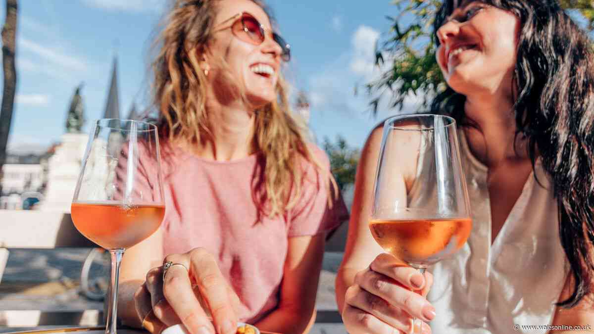 Wines off the beaten track that are perfect to enjoy during the summer months