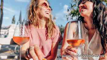 Wines off the beaten track that are perfect to enjoy during the summer months