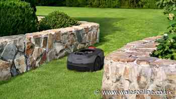 Review: I mowed the lawn from my hammock thanks to a robot mower!