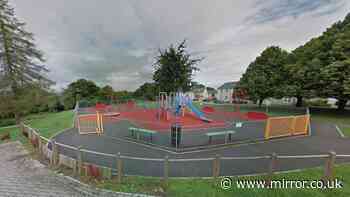 Girl, 11, 'seriously sexually assaulted' near Bath playground as rape suspect arrested