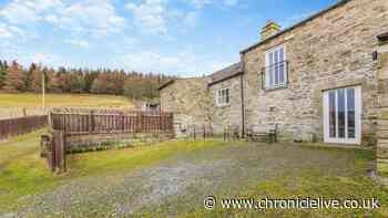 The North East dog-friendly lodge retreat with sunset views 'to die for'