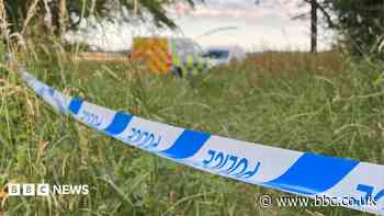 Plane crash victim was celebrating finishing studies