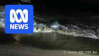 Suspected space junk washes up on north Queensland beach