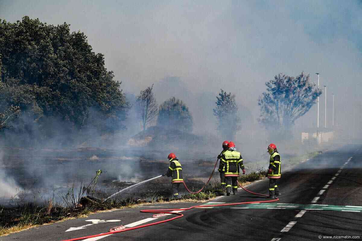 Un nouvel incendie dans les Pyrénées-Orientales a parcouru 930 hectares dans la nuit, près de 600 sapeurs-pompiers mobilisés