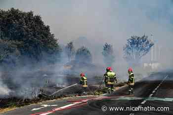 Un nouvel incendie dans les Pyrénées-Orientales a parcouru 930 hectares dans la nuit, près de 600 sapeurs-pompiers mobilisés