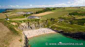 The chilled-out eco campsite just a short hop from one of Wales' best beaches