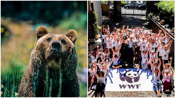 “La sfida del WWF oggi è il clima. Ma sulla tutela della natura stiamo facendo passi indietro. Il ddl caccia? Allucinante”