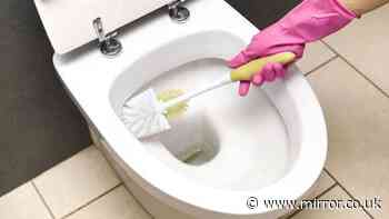Stop using vinegar to remove limescale from toilets when alternative works in 15 minutes