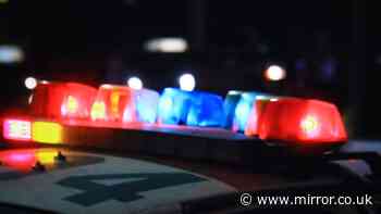 Pensacola mass shooting horror as at least one dead and cops warn 'stay away from town'