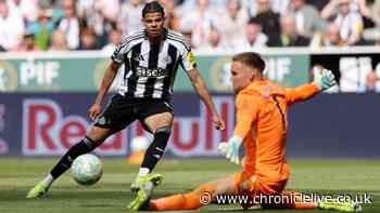 Brighton told to cash in on Bart Verbruggen as Newcastle United monitor goalkeeper