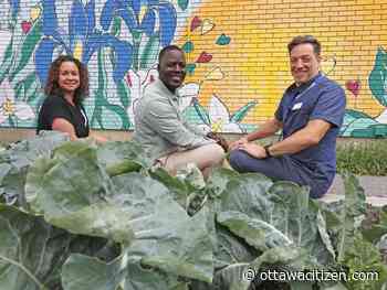 A new renovation of a Lowertown house is bringing neighbours together