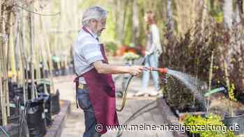 Gartenschlauch-Test 2026: Warum teure Marken nicht vorn landen